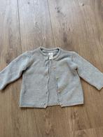 Vestje maat 74 H&M, H&M, Ophalen of Verzenden, Zo goed als nieuw, Truitje of Vestje