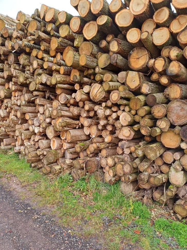 Stamhout/rondhout/boomstammen van eiken/essen/gemengd, Tuin en Terras, Haardhout, Blokken, Overige houtsoorten, Minder dan 3 m³