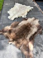 Vachten eland, Ophalen, Gebruikt