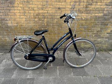 Nette gazelle davos 28 inch 51 cm 7 versnellingen beschikbaar voor biedingen