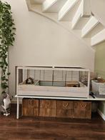 Ferplast Arena 120 voor konijn of cavia, Kooi, Cavia, Ophalen, Minder dan 60 cm