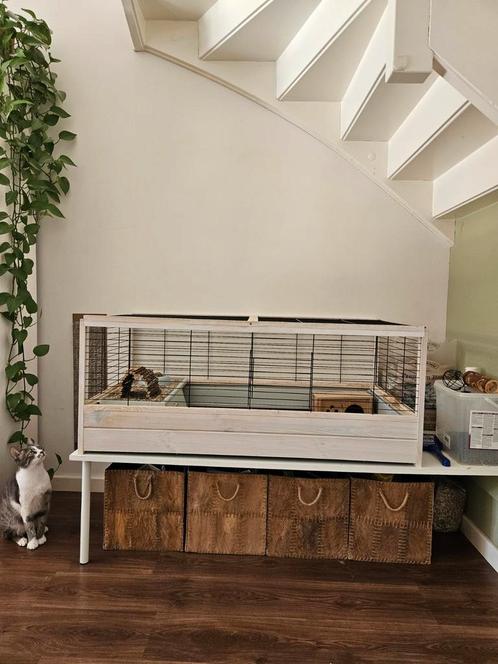 Ferplast Arena 120 voor konijn of cavia, Dieren en Toebehoren, Knaagdieren en Konijnen | Hokken en Kooien, Gebruikt, Kooi, Minder dan 60 cm