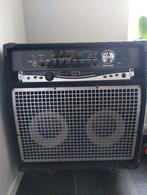 SWR WorkingPro 2x10C, 250W Basscombo, Ophalen, Gebruikt, 100 watt of meer