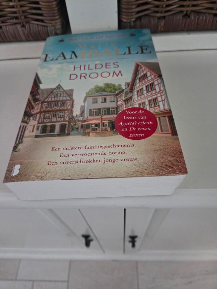 Marie Lamballe - Hildes droom, Boeken, Literatuur, Gelezen, Ophalen of Verzenden