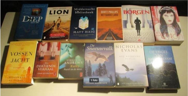 12 Prima Nederlandstalige Romans, Boeken, Romans, Gelezen, Ophalen of Verzenden