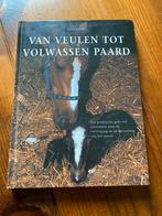 J. Lorch - Van veulen tot volwassen paard, Boeken, Dieren en Huisdieren, Gelezen, J. Lorch, Ophalen of Verzenden