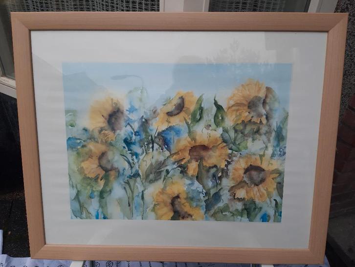 Schilderij, aquarel, zonnebloem, in mooie lijst, Antiek en Kunst, Kunst | Litho's en Zeefdrukken, Ophalen