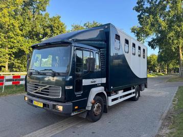 Volvo Horsetruck APK 8-2026 (bj 2001) beschikbaar voor biedingen