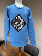 SCOTCH & SODA sweater nieuwstaat maat 164 DN, Meisje, Trui of Vest, Ophalen of Verzenden, Zo goed als nieuw