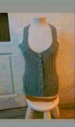 Forecast grijs vest, Kleding | Dames, Ophalen of Verzenden, Zo goed als nieuw, Maat 38/40 (M), Grijs