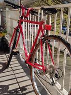Giant Custom mountain bike, Fietsen en Brommers, Ophalen, Zo goed als nieuw, Carbon, Giant