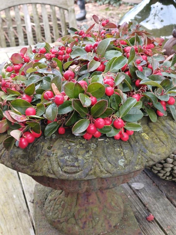 Franse Brocante Gietijzeren Jardinière / Vaas, Antiek en Kunst, Curiosa en Brocante, Ophalen of Verzenden