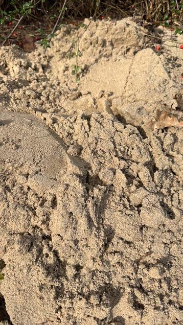 Ophoogzand gratis beschikbaar voor biedingen