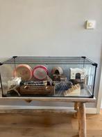 Hamster terrarium, Dieren en Toebehoren, Kooi, Zo goed als nieuw, Hamster, 75 tot 110 cm