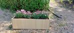Handgemaakte plantenbak met zomerbloeiers, Ophalen, Minder dan 30 cm, Minder dan 60 cm, Rond