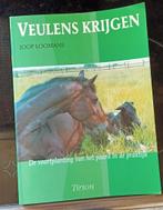 Boek veulens krijgen paardenboek, Boeken, Dieren en Huisdieren, Ophalen of Verzenden