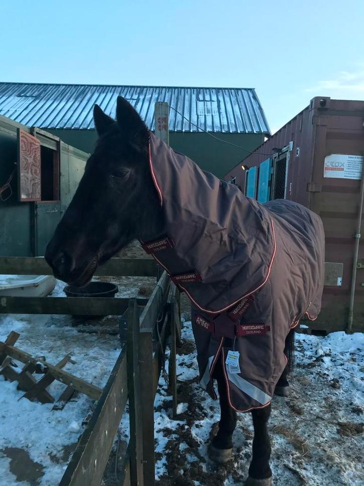 Amigo horseware outdoordeken 5.9, Dieren en Toebehoren, Paarden en Pony's | Dekens en Dekjes, Zo goed als nieuw, Deken, Ophalen of Verzenden