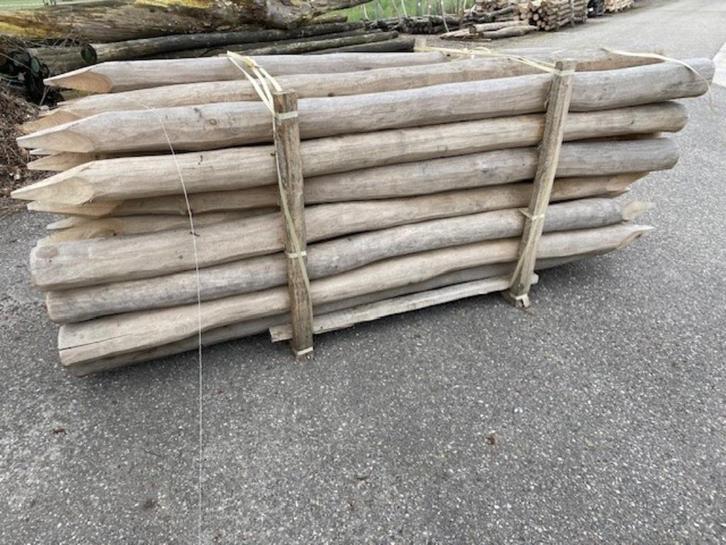 Robinia, spintvrij geschuurd, 250ø12/14 cm gepunt, Tuin en Terras, Palen, Balken en Planken, Nieuw, Palen, 250 cm of meer, Hardhout