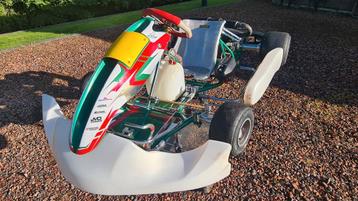 Tony Kart 2024 met getunede Rotax Max Senior Evo (2024) beschikbaar voor biedingen