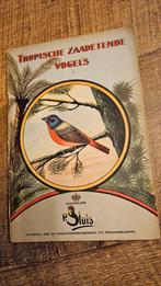 Tropische vogels, Ophalen of Verzenden, Vogels