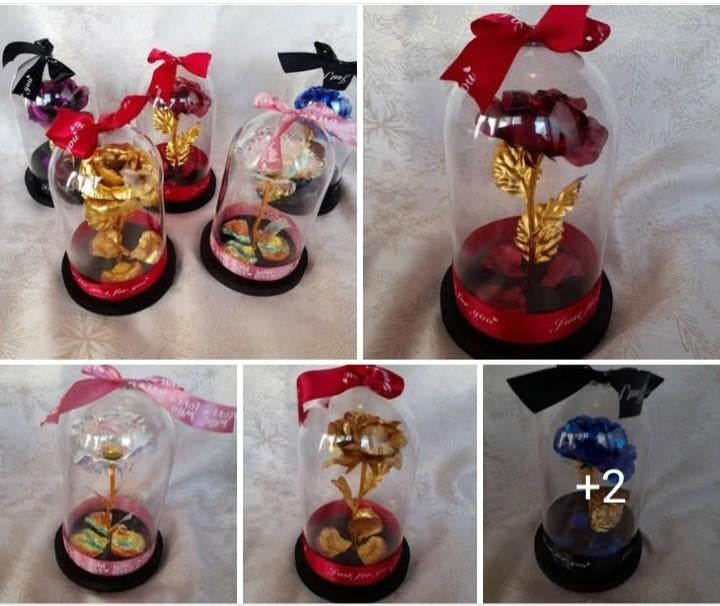 Eeuwige roos in stolp 17.50 p.s, Ophalen of Verzenden