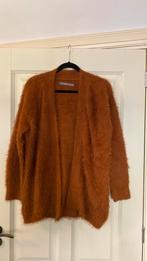 B young vest maat L, Ophalen of Verzenden, Zo goed als nieuw, Maat 38/40 (M), Bruin