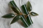 Groene Jade Broche  -  Vintage, Sieraden, Tassen en Uiterlijk, Broches, Overige materialen, 4 tot 7 cm, Verzenden, Zo goed als nieuw