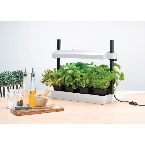 Groeilicht LED met kweekset - wit, Tuin en Terras, Kweekspullen, Gebruikt, Kweeklamp, Ophalen of Verzenden