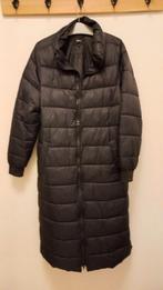 Zwarte pufferjas Zizzi maat M, Kleding | Dames, Grote Maten, Ophalen of Verzenden, Gedragen, Zwart