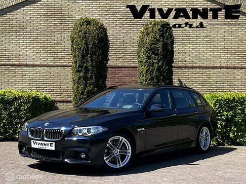 BMW 5-serie Touring 520d M Sport Edition High Executive VOL!, Auto's, BMW, Bedrijf, Te koop, 5-Serie, 360° camera, ABS, Achteruitrijcamera