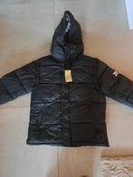 Burberry Jas - Stijlvol en Warm, Kleding | Heren, Maat 48/50 (M), Zwart, Nieuw, Ophalen of Verzenden