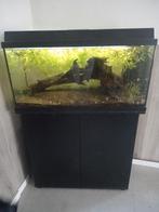 Aquarium met kast en ledverlichting, Ophalen