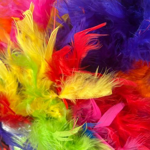 Set van 4 Regenboogveren Boa’s, Kleding | Dames, Carnavalskleding en Feestkleding, Gedragen, Accessoires, Overige thema's, Ophalen of Verzenden