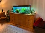 Jewel Rio240 Aquarium(dark wood) + Eheim professional 4, Huis en Inrichting, Ophalen, Minder dan 50 cm, 100 tot 150 cm, 50 tot 75 cm
