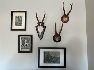 Antieke Geweien op Houten Schild + Decoratieve lijstjes beschikbaar voor biedingen