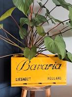 Houten krat Bavaria bier - geel, Ophalen of Verzenden