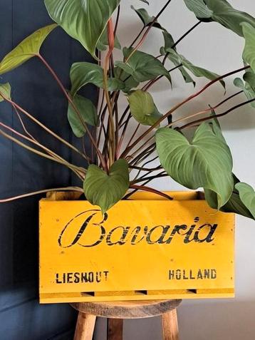 Houten krat Bavaria bier - geel beschikbaar voor biedingen