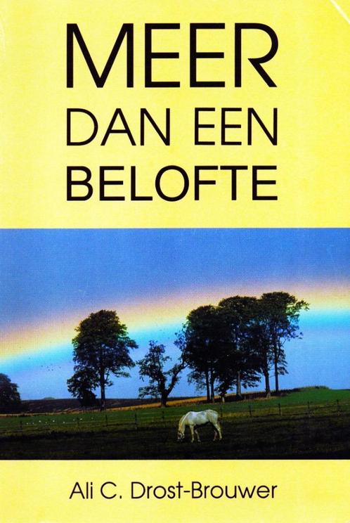 Meer dan een Belofte - Ali C. Drost Brouwer / 9789060470343, Boeken, Literatuur, Zo goed als nieuw, Nederland, Ophalen of Verzenden