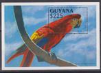 Guyana Blok 242 Vogels 1993 postfris, Postzegels en Munten, Postzegels | Thematische zegels, Ophalen of Verzenden, Postfris, Dier of Natuur