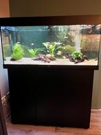 Aquarium Juwel Rio 180, Dieren en Toebehoren, Vissen | Aquaria en Toebehoren, Ophalen of Verzenden, Zo goed als nieuw, Leeg aquarium