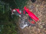 Gilera runner 70cc project, Ophalen of Verzenden, Zo goed als nieuw, Tweetakt, Overige modellen