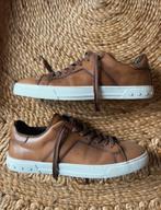 Tod's Heren Schoenen Sneakers Maat 41,5 met doos, Kleding | Heren, Schoenen, Tod’s, Bruin, Ophalen of Verzenden, Sneakers of Gympen