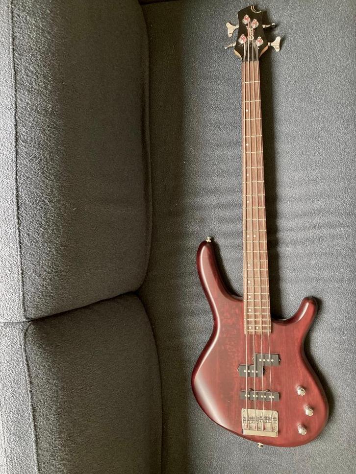 basgitaar Cort Action Bass, Muziek en Instrumenten, Snaarinstrumenten | Gitaren | Bas, Zo goed als nieuw, Elektrisch, Ophalen