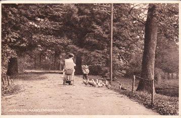 00296 Haarlem - Haarlemmerhout - gel. 1929 beschikbaar voor biedingen