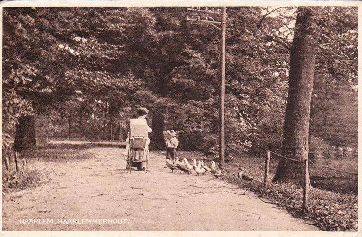00296 Haarlem - Haarlemmerhout - gel. 1929, Verzamelen, Ansichtkaarten | Nederland, Gelopen, Noord-Holland, 1920 tot 1940, Verzenden