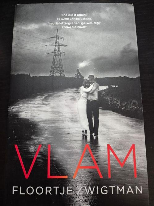 Floortje Zwigtman - Vlam, Boeken, Kinderboeken | Jeugd | 13 jaar en ouder, Zo goed als nieuw, Ophalen of Verzenden