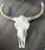 Wanddecoratie stieren schedel/ gewei, Ophalen, Zo goed als nieuw
