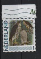 ‹(•¿•)› nl i0573 vogel - sperwer, Verzenden, Na 1940, Gestempeld
