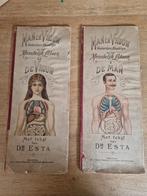 Man en vrouw menschelijk lichaam, anatomie, Antiek en Kunst, Antiek | Boeken en Bijbels, Ophalen of Verzenden