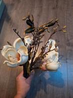 Magnolia takken, Ophalen of Verzenden